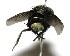  ( - DHJPAR0003594)  @14 [ ] Unspecified (default): All Rights Reserved  Unspecified Unspecified