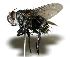  ( - DHJPAR0003603)  @14 [ ] Unspecified (default): All Rights Reserved  Unspecified Unspecified