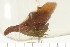  ( - CNC-HEM-1093)  @12 [ ] Copyright (2010) Unspecified Agriculture and Agri-Food Canada