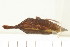  ( - CNC-HEM-1094)  @12 [ ] Copyright (2010) Unspecified Agriculture and Agri-Food Canada