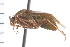  ( - CNC-HEM-0235)  @13 [ ] Copyright (2010) Unspecified Agriculture and Agri-Food Canada