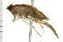  ( - CNC-HEM-1339)  @12 [ ] CreativeCommons - Attribution (2010) Unspecified Centre for Biodiversity Genomics