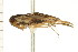  ( - CNC-HEM-1418)  @14 [ ] CreativeCommons - Attribution (2010) Unspecified Centre for Biodiversity Genomics