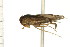  ( - CNC-HEM-1420)  @13 [ ] CreativeCommons - Attribution (2010) Unspecified Centre for Biodiversity Genomics