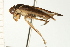  ( - CNC-HEM-1449)  @13 [ ] CreativeCommons - Attribution (2010) Unspecified Centre for Biodiversity Genomics