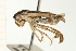  ( - CNC-HEM-1450)  @14 [ ] CreativeCommons - Attribution (2010) Unspecified Centre for Biodiversity Genomics