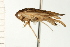  ( - CNC-HEM-1453)  @14 [ ] CreativeCommons - Attribution (2010) Unspecified Centre for Biodiversity Genomics