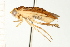  ( - CNC-HEM-1456)  @14 [ ] CreativeCommons - Attribution (2010) Unspecified Centre for Biodiversity Genomics