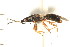  ( - CNC-HEM-1141)  @12 [ ] CreativeCommons - Attribution (2010) Unspecified Centre for Biodiversity Genomics