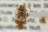  ( - CNC-HEM-1697)  @13 [ ] CreativeCommons - Attribution (2009) Unspecified Centre for Biodiversity Genomics