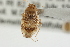  ( - CNC-HEM-1698)  @13 [ ] CreativeCommons - Attribution (2009) Unspecified Centre for Biodiversity Genomics