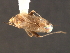  ( - CNC-HEM-0768)  @13 [ ] CreativeCommons - Attribution (2010) Unspecified Centre for Biodiversity Genomics