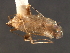 ( - CNC-HEM-0769)  @13 [ ] CreativeCommons - Attribution (2010) Unspecified Centre for Biodiversity Genomics