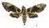  ( - USNM ENT 00678979)  @14 [ ] Unspecified (default): All Rights Reserved  Unspecified Unspecified