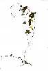  ( - OM0412)  @11 [ ] No Rights Reserved  Unspecified Unspecified