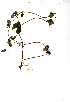  ( - RBN315)  @11 [ ] No Rights Reserved  Unspecified Unspecified