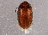  ( - BIOUG02603-A01)  @13 [ ] CreativeCommons - Attribution (2013) CBG Photography Group Centre for Biodiversity Genomics