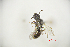  ( - CP16038)  @11 [ ] by-nc (2019) Unspecified China Agricultural University