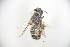  ( - CP16081)  @11 [ ] by-nc (2019) Unspecified China Agricultural University