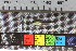  ( - JHL2019006)  @11 [ ] CreativeCommons - Attribution Non-Commercial (2019) Unspecified University of Colorado, Boulder