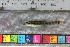  ( - JHL2019016)  @11 [ ] CreativeCommons - Attribution Non-Commercial (2019) Unspecified University of Colorado, Boulder