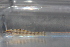  ( - JHL2019016)  @11 [ ] CreativeCommons - Attribution Non-Commercial (2019) Unspecified University of Colorado, Boulder