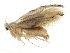  ( - BIOUG02385-A07)  @12 [ ] CreativeCommons - Attribution (2013) CBG Photography Group Centre for Biodiversity Genomics