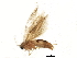  ( - BIOUG02385-B04)  @12 [ ] CreativeCommons - Attribution (2013) CBG Photography Group Centre for Biodiversity Genomics