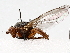  ( - BIOUG70332-A09)  @11 [ ] CreativeCommons - Attribution (2021) CBG Photography Group Centre for Biodiversity Genomics