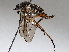  ( - BIOUG70332-B01)  @11 [ ] CreativeCommons - Attribution (2021) CBG Photography Group Centre for Biodiversity Genomics