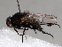  ( - BIOUG70332-C01)  @11 [ ] CreativeCommons - Attribution (2021) CBG Photography Group Centre for Biodiversity Genomics