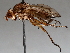  ( - BIOUG70332-E01)  @11 [ ] CreativeCommons - Attribution (2021) CBG Photography Group Centre for Biodiversity Genomics