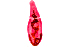  ( - MXHEL004)  @11 [ ] Copyright  Virginia Leon Unspecified