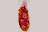  ( - MXHEL006)  @11 [ ] Copyright  Virginia Leon Unspecified