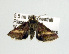  ( - USNM ENT 00148023.1)  @13 [ ] No Rights Reserved  Unspecified Unspecified