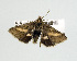  ( - USNM ENT 00148025.1)  @12 [ ] No Rights Reserved  Unspecified Unspecified