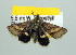  ( - USNM ENT 00148053.1)  @13 [ ] No Rights Reserved  Unspecified Unspecified