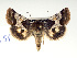  ( - USNM ENT 00148223.1)  @13 [ ] No Rights Reserved  Unspecified Unspecified