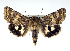  ( - USNM ENT 00148225.1)  @13 [ ] No Rights Reserved  Unspecified Unspecified