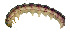  ( - USNMJAL09)  @13 [ ] No Rights Reserved  Unspecified Unspecified