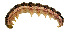  ( - USNMJAL11)  @13 [ ] No Rights Reserved  Unspecified Unspecified