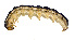  ( - USNMQUI17)  @13 [ ] No Rights Reserved  Unspecified Unspecified