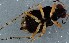  ( - ZMUO.078993)  @11 [ ] by-nc (2023) Marko Mutanen University of Oulu