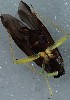  ( - ZMUO.079034)  @11 [ ] by-nc (2023) Marko Mutanen University of Oulu