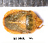  ( - RL-PENT-197)  @11 [ ] CC-by (2025) Roland Lupoli Research collection of Roland Lupoli