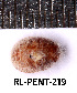  ( - RL-PENT-219)  @11 [ ] CC-by (2025) Roland Lupoli Research collection of Roland Lupoli