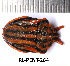  ( - RL-PENT-264)  @11 [ ] CC-by (2025) Roland Lupoli Research collection of Roland Lupoli