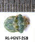  (Tarisa flavescens - RL-PENT-268)  @11 [ ] CC-by (2025) Roland Lupoli Research collection of Roland Lupoli