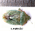  ( - RL-PENT-277)  @11 [ ] CC-by (2025) Roland Lupoli Research collection of Roland Lupoli