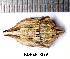  ( - RL-PENT-279)  @11 [ ] CC-by (2025) Roland Lupoli Research collection of Roland Lupoli